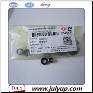 Lever， Rocker C3937219 cummins engine Dongfeng