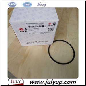 Piston Ring C3928294 cummins engine Dongfeng