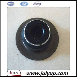 cummins oil seal 4976170