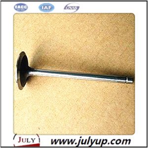 Exhaust valve 5256949