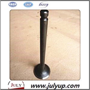 outlet valve 4102.01.25