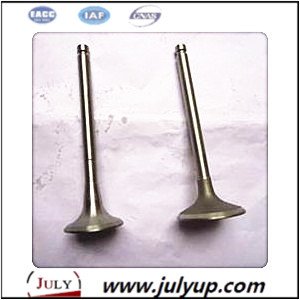 inlet valve 4102.01.24