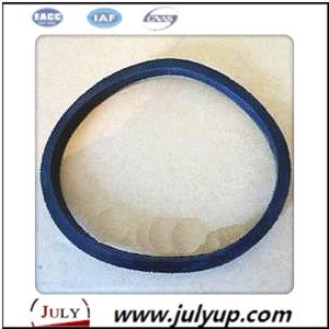 Cummins DCEC ISBe Rectangle Seal Ring 3906698
