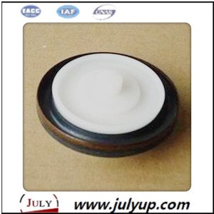 rear oil seal 5264267