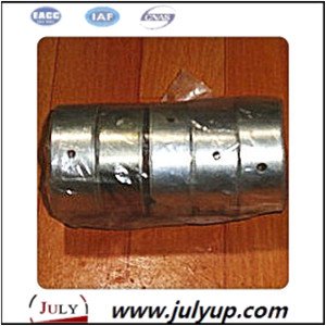 Camshaft bushing 13005 51n00