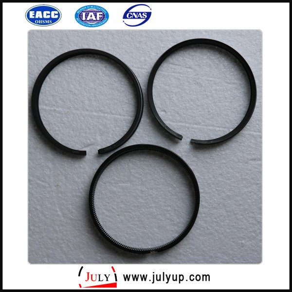 Dongfeng 12041 1W400CZ piston ring