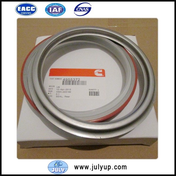 Crankshaft Rear Oil Seal for Cummins QSB engine