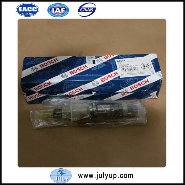 Bosch fuel injector 0445120123 D4937065