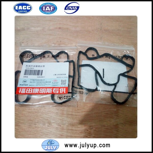 oil cooler gasket 5262903