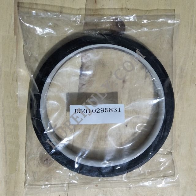 rear oil seal D5010295831