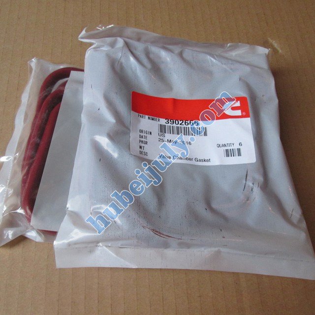 Cummins valve chamber gakset 3902666