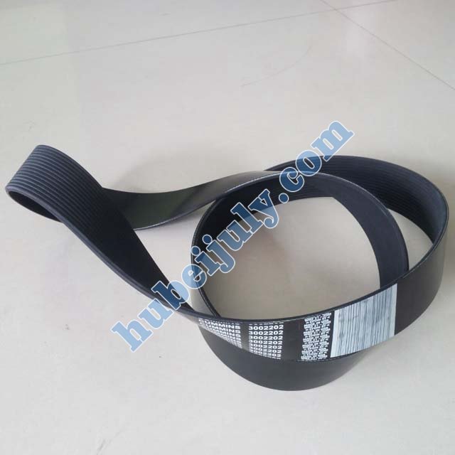 Cummins Belt 3002202