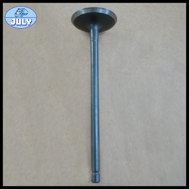 Intake valve 1021600E0100